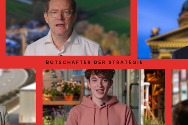 Botschafter Der Strategie (2)